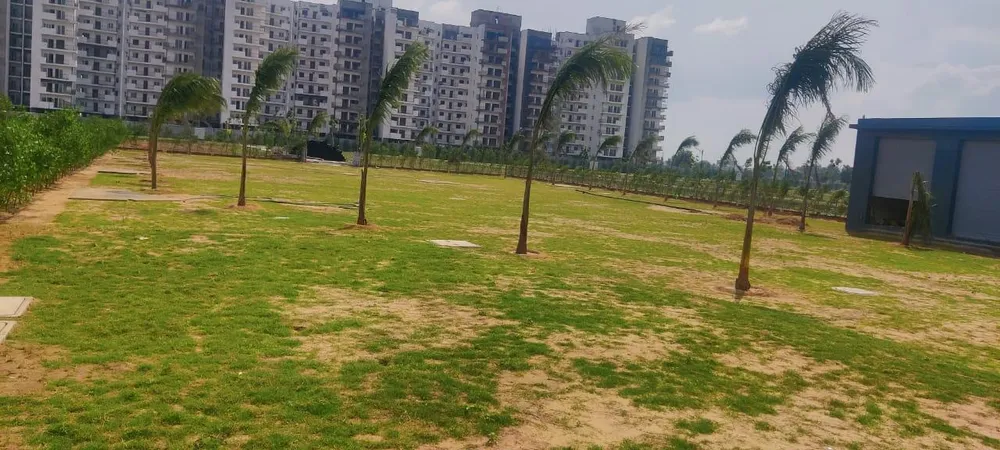 Levelled open ground with young palms inside MGH Anandam, apartment towers behind, Dharuhera