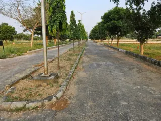 Avenue trees and kerbed central verge along an internal road in Chanderlok City