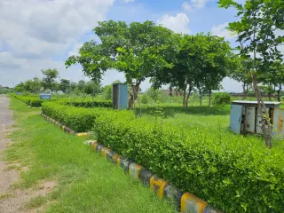 Hedged plot boundaries and planted verge along an internal road in Krish Season, Bhiwadi