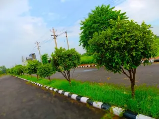 Planted green belt along an internal road in Lifestyle City, Bhiwadi