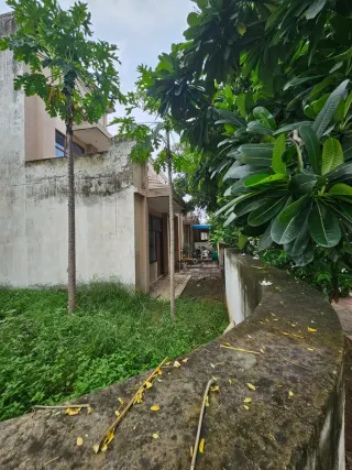 Covered entrance and side path of a two-storey house behind a frangipani tree in Omaxe Green Meadow City, Bhiwadi