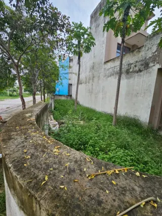 Tree-lined internal road running alongside the boundary wall of a corner house in Omaxe Green Meadow City, Bhiwadi