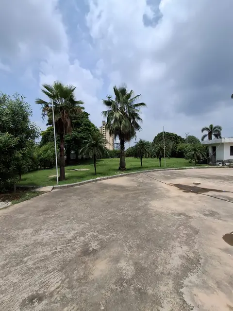 Landscaped lawn with fan palms beside the concrete forecourt at Aqasia Enclave, a high-rise under construction visible in the distance