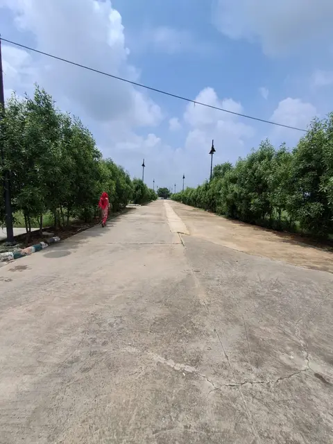 Concrete internal road at Aqasia Enclave lined with young trees and ornamental street lights, a resident walking along the edge